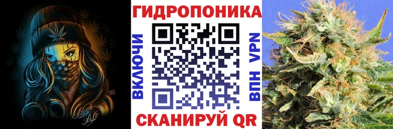 Какие есть наркотики Северобайкальск Псилоцибиновые грибы  МЕТАДОН  Alpha PVP  ГАШ  Канабис  Меф 