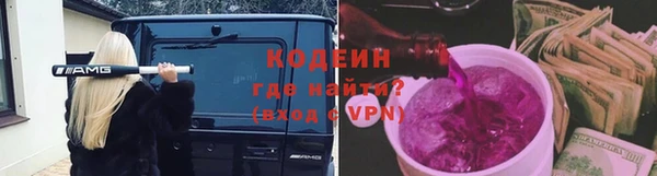 ПСИЛОЦИБИНОВЫЕ ГРИБЫ Арсеньев