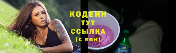 ПСИЛОЦИБИНОВЫЕ ГРИБЫ Арсеньев