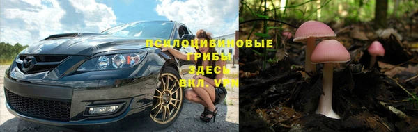 дурь Аркадак
