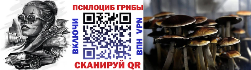 Галлюциногенные грибы Psilocybe  закладка  Северобайкальск 